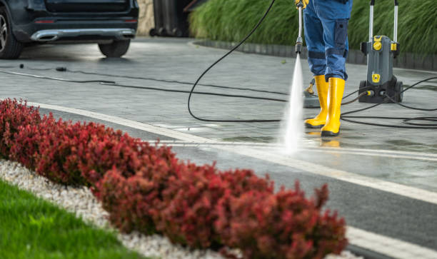 Best Driveway Pressure Washing  in San Buenaventura, CA